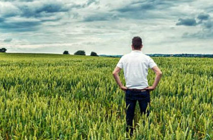 asigurari agricultura Radauti